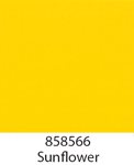 858566